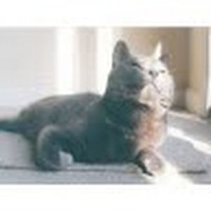 Meet your Posher, Marie